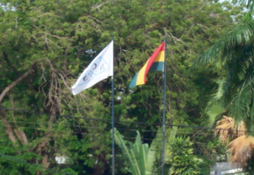 ncs flags